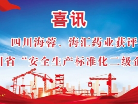 海蓉、海匯藥業(yè)獲評“安全生產(chǎn)標(biāo)準(zhǔn)化二級企業(yè)”