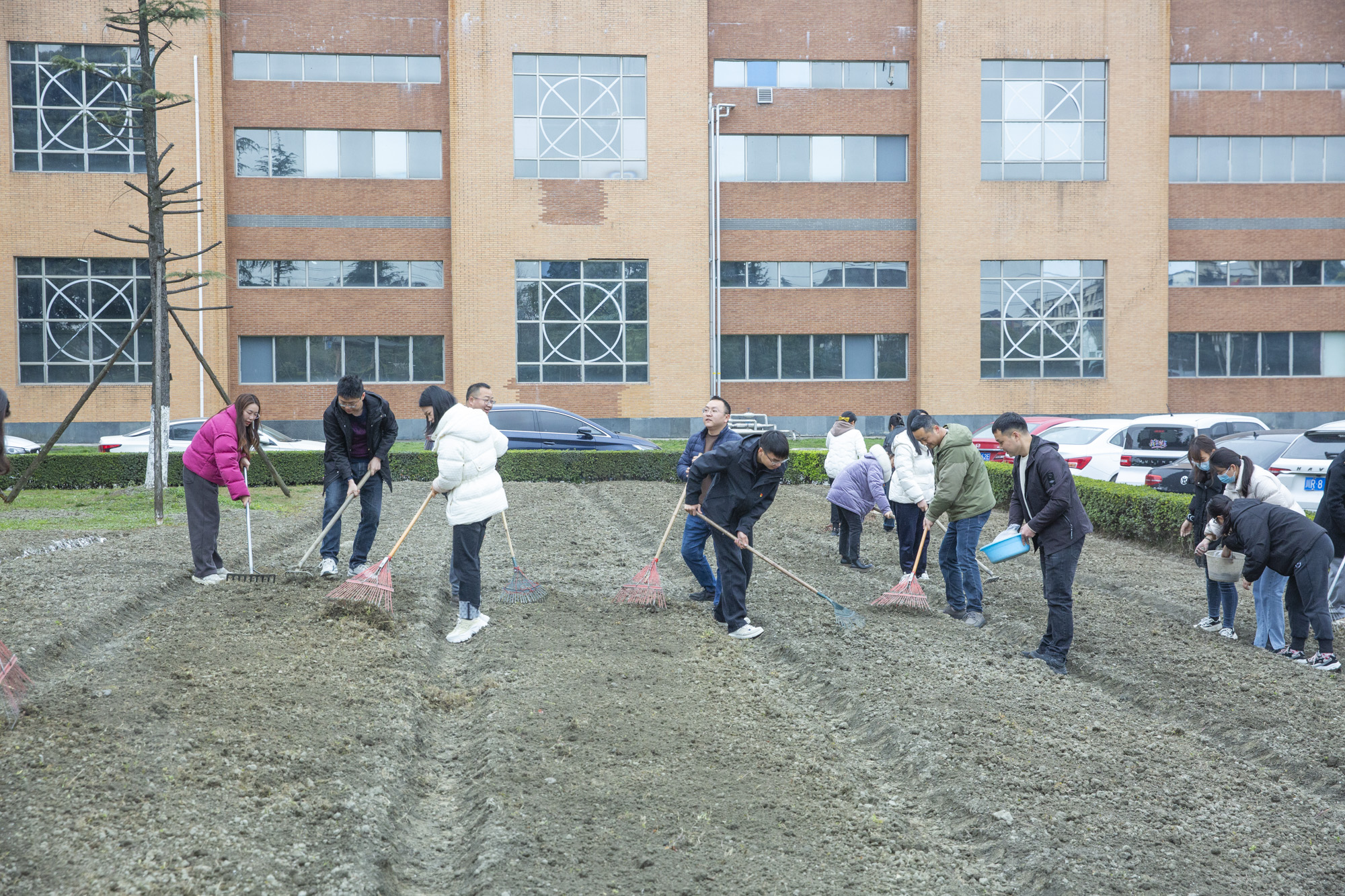 植樹節(jié) | 四川海蓉開展“植此青綠，擁抱春天”植樹節(jié)活動